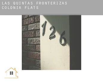 Las Quintas Fronterizas Colonia  flats
