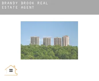 Brandy Brook  real estate agent