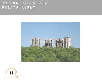 Hollow Hills  real estate agent