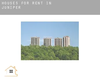 Houses for rent in  Juniper