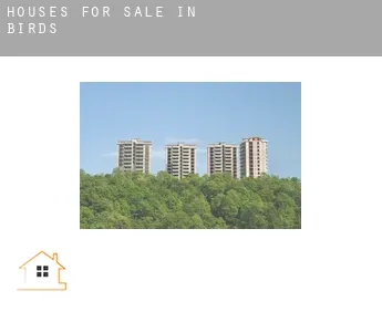 Houses for sale in  Birds