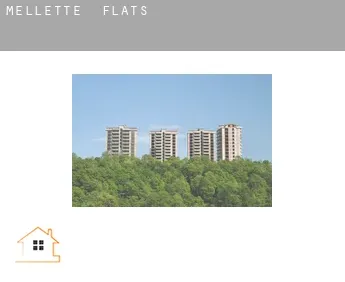 Mellette  flats