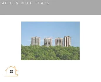 Willis Mill  flats