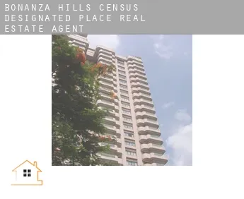 Bonanza Hills  real estate agent
