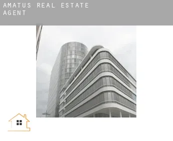 Amatus  real estate agent