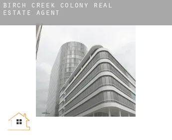 Birch Creek Colony real estate agent