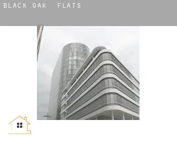 Black Oak  flats