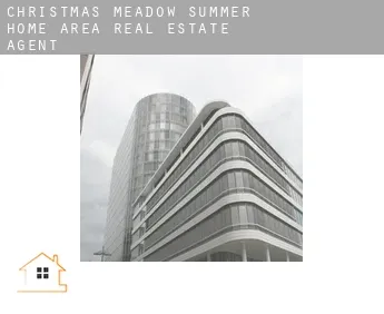 Christmas Meadow Summer Home Area  real estate agent