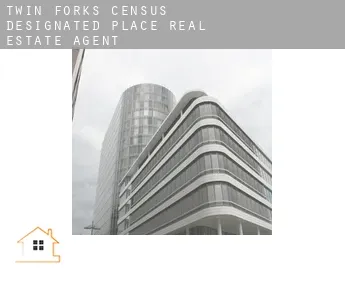 Twin Forks  real estate agent