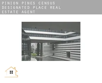 Pinion Pines  real estate agent