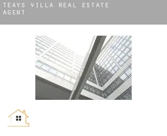 Teays Villa  real estate agent