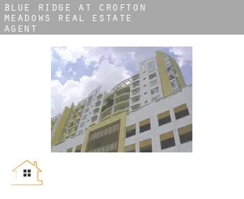 Blue Ridge at Crofton Meadows  real estate agent