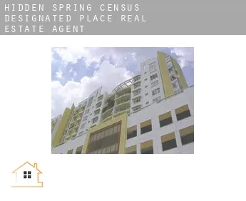 Hidden Spring  real estate agent