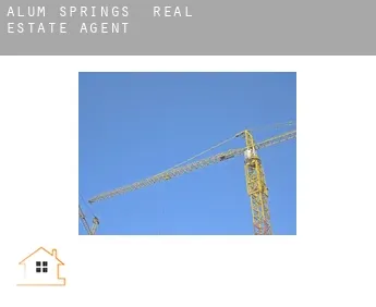 Alum Springs  real estate agent