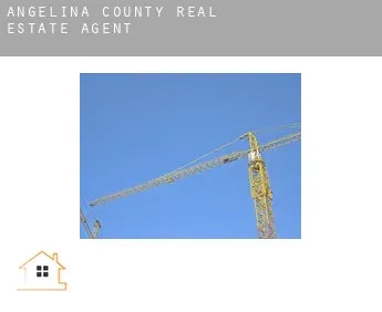 Angelina County  real estate agent