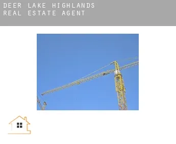 Deer Lake Highlands  real estate agent