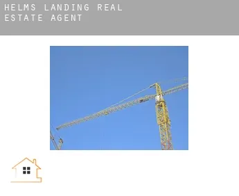 Helms Landing  real estate agent