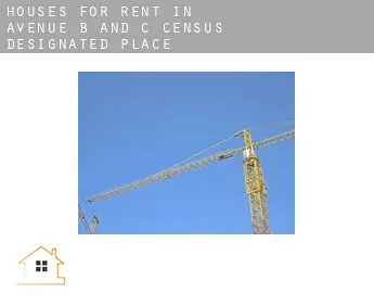 Houses for rent in  Avenue B and C