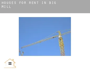 Houses for rent in  Big Mill