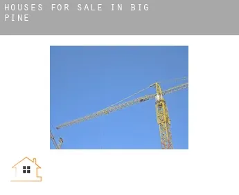Houses for sale in  Big Pine