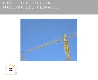 Houses for sale in  Hacienda del Florasol