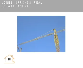 Jones Springs  real estate agent