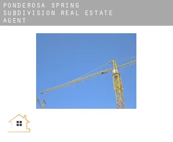 Ponderosa Spring Subdivision  real estate agent