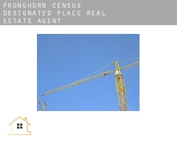 Pronghorn  real estate agent