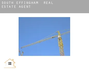 South Effingham  real estate agent