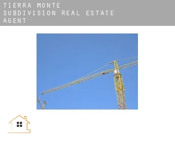 Tierra Monte Subdivision  real estate agent