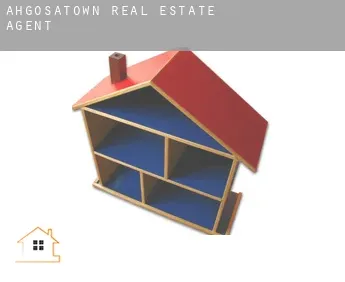 Ahgosatown  real estate agent