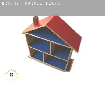Brushy Prairie  flats