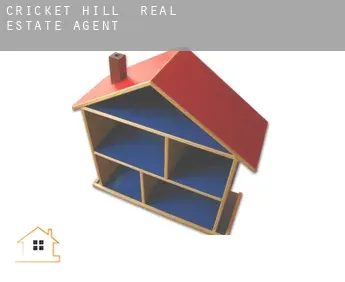 Cricket Hill  real estate agent