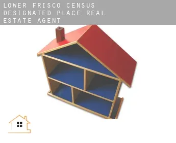 Lower Frisco  real estate agent