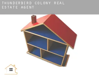 Thunderbird Colony  real estate agent
