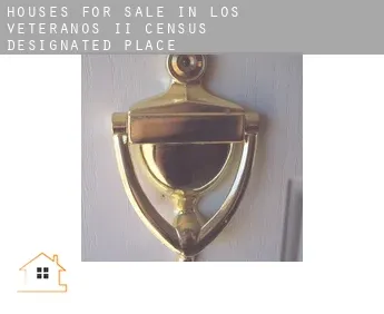 Houses for sale in  Los Veteranos II