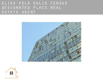 Elias-Fela Solis  real estate agent