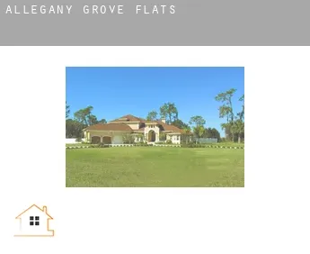 Allegany Grove  flats