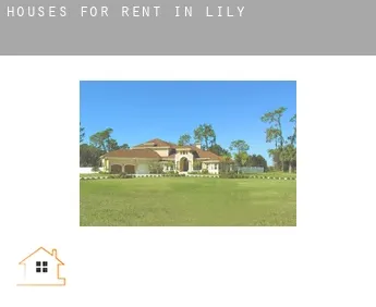 Houses for rent in  Lily