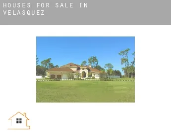 Houses for sale in  Velasquez
