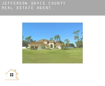 Jefferson Davis County  real estate agent