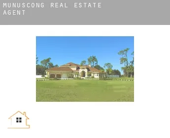Munuscong  real estate agent