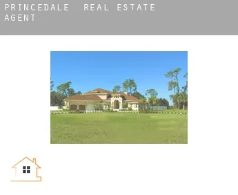 Princedale  real estate agent