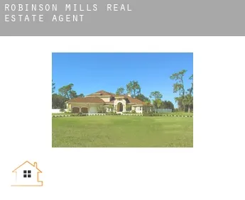 Robinson Mills  real estate agent