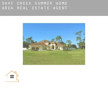 Shay Creek Summer Home Area  real estate agent