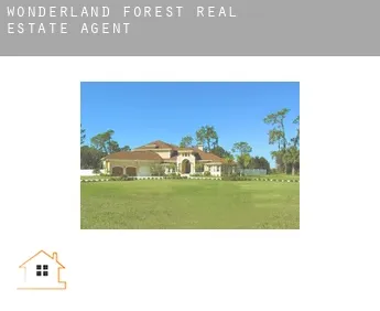 Wonderland Forest real estate agent
