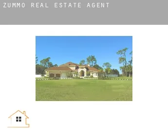 Zummo  real estate agent