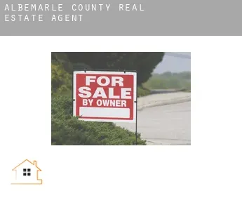 Albemarle County  real estate agent