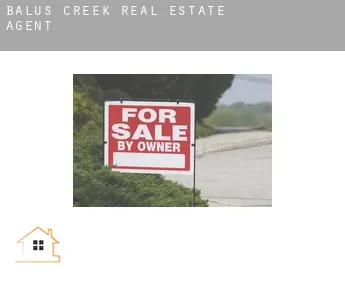 Balus Creek  real estate agent
