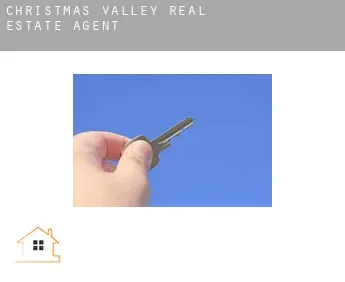 Christmas Valley  real estate agent